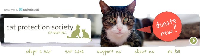 An email banner with the Cat Protection Society logo next to a photo of a cat with a speech bubble that reads "donate now!!", above a range of links to webpages.