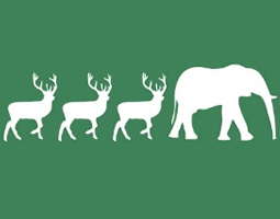 A row of deer icons and one elephant icon in white on a green background.