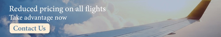 An email banner with the message "Reduced pricing on all flights Take advantage now" and a "CONTACT US" button, over a photo of the wing of an airplane.