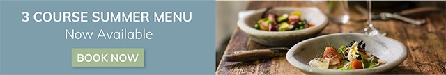 different-campaigns-rocketseed-email-marketing-new